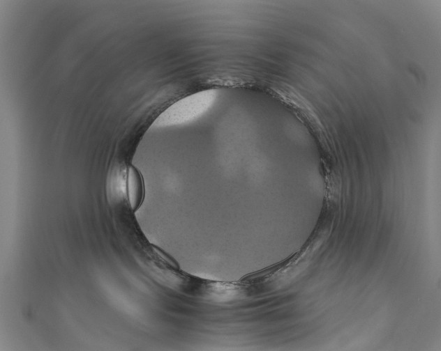 X0000110990095200907101440