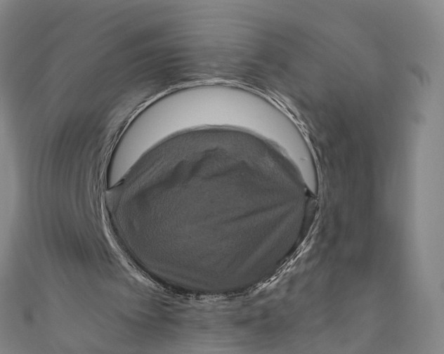 X0000110990097200907101439