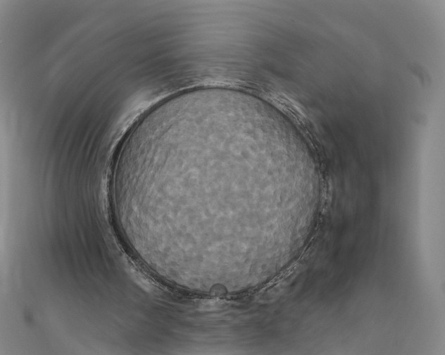 X0000110990098200907101439