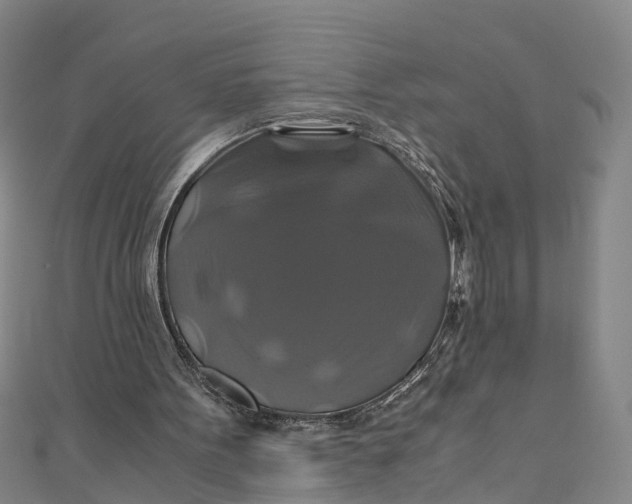 X0000110990099200907101439