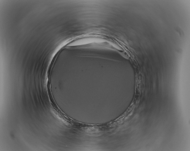 X0000110990100200907101439