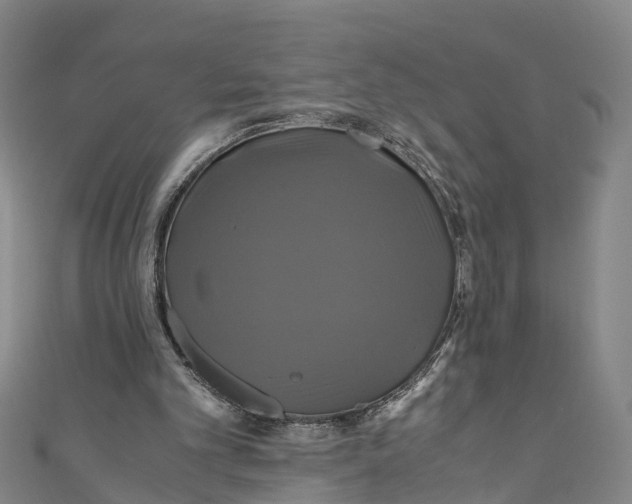 X0000110990101200907101439