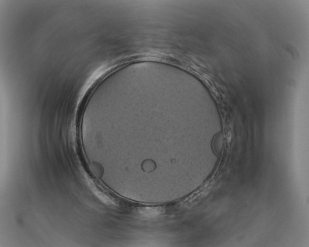 X0000110990102200907101439