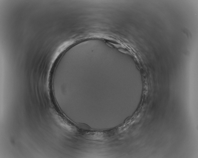 X0000110990104200907101439