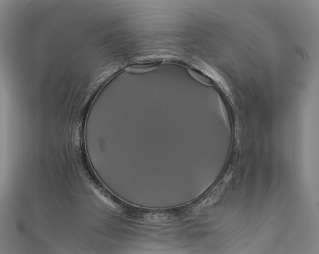 X0000110990105200907101439