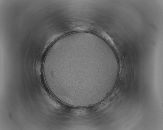 X0000110990106200907101439