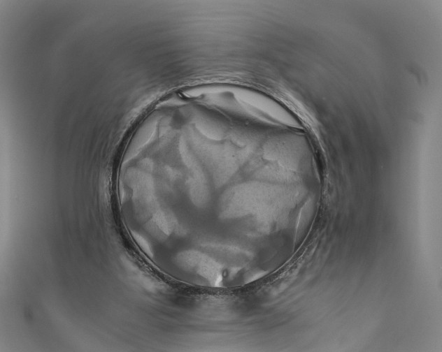 X0000110990107200907101439