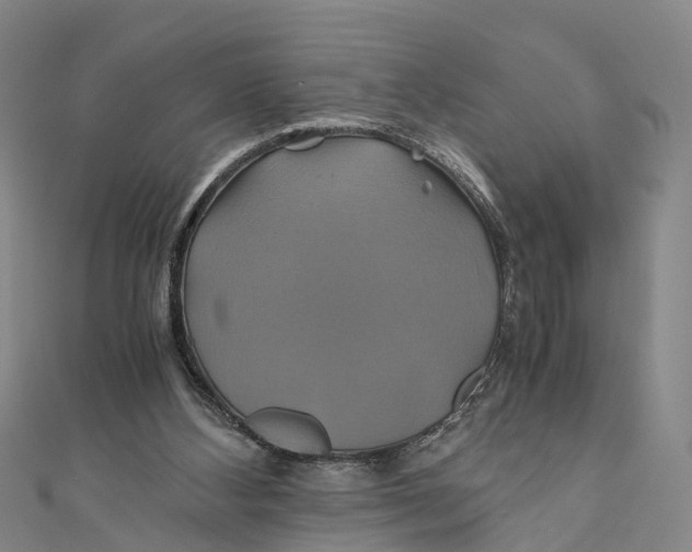 X0000110990108200907101439