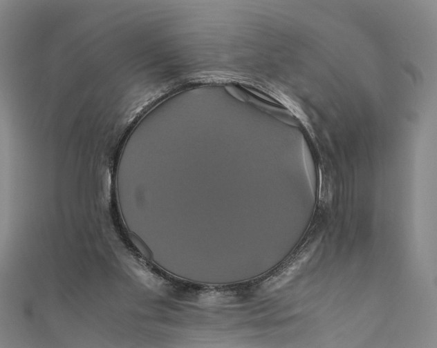 X0000110990109200907101439