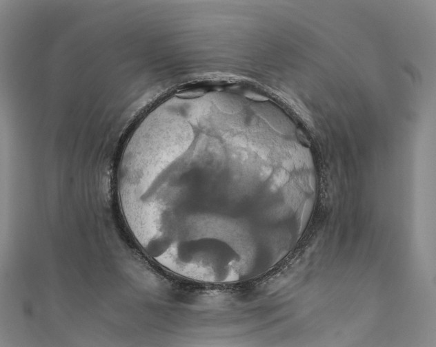 X0000110990111200907101439