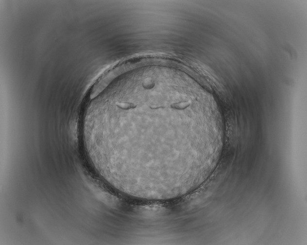 X0000110990112200907101439