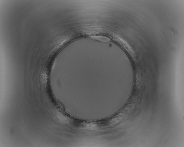 X0000110990113200907101439