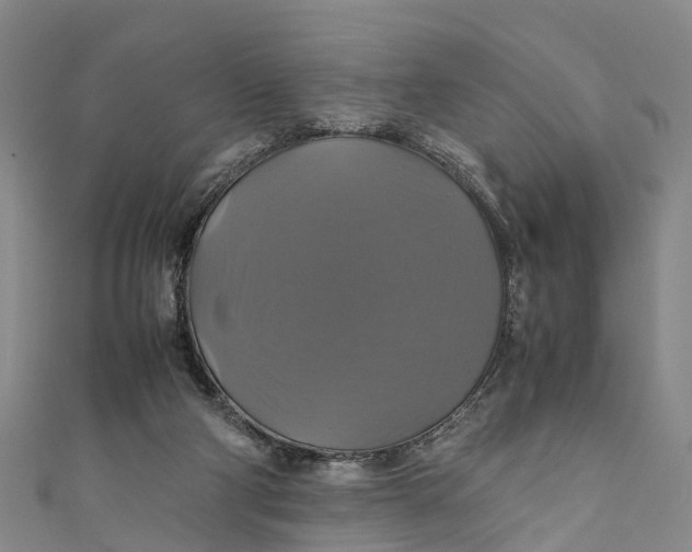 X0000110990114200907101439