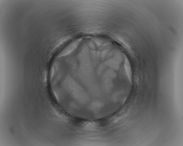 X0000110990115200907101439