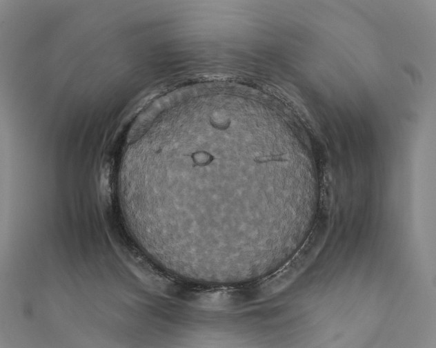 X0000110990116200907101439