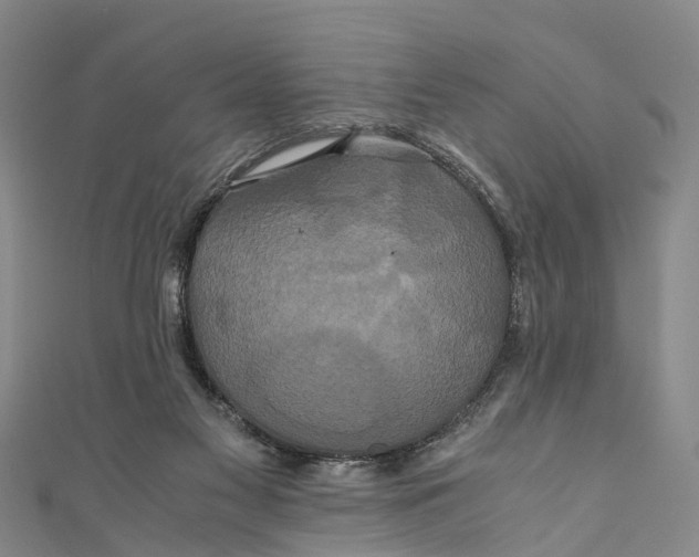 X0000110990117200907101439