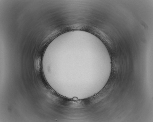 X0000110990118200907101439