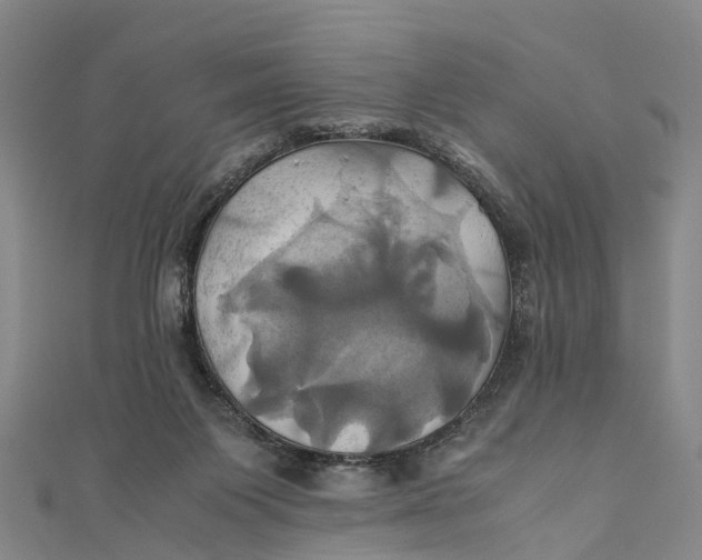 X0000110990119200907101439