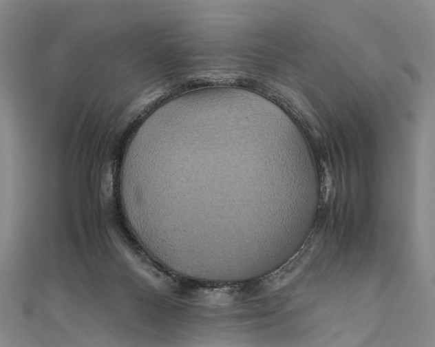 X0000110990120200907101439