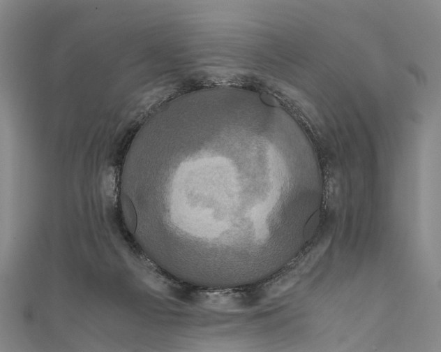 X0000110990121200907101439