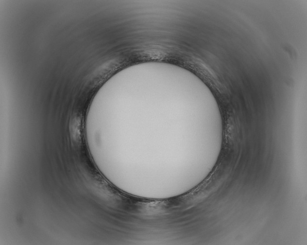 X0000110990122200907101439