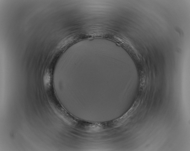 X0000110990124200907101438