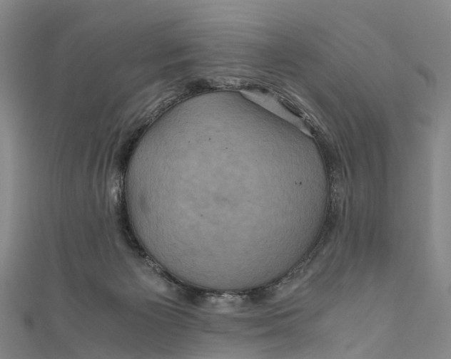 X0000110990125200907101438
