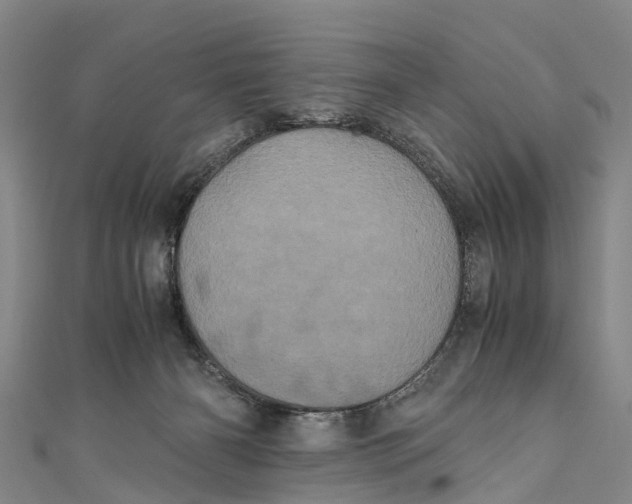 X0000110990126200907101438