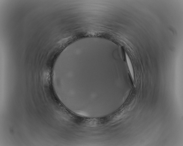 X0000110990127200907101438