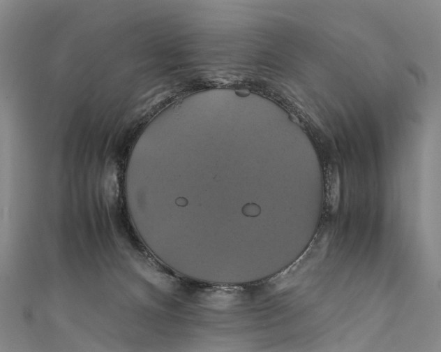 X0000110990128200907101438