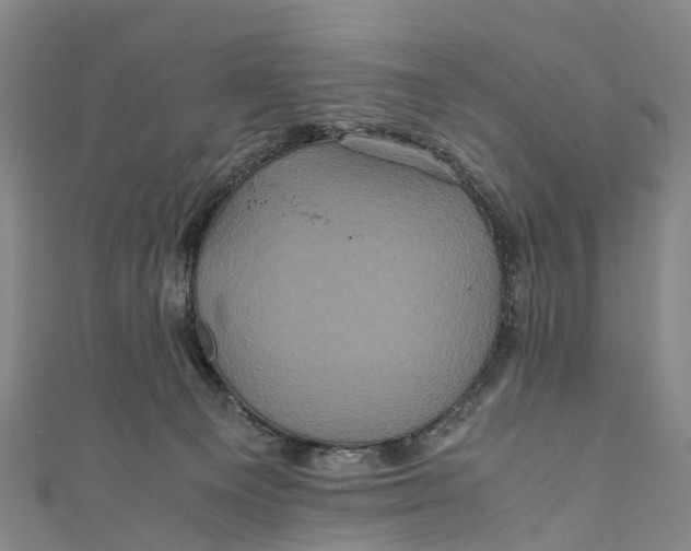 X0000110990129200907101438