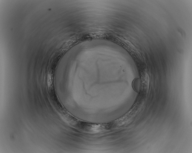 X0000110990130200907101438