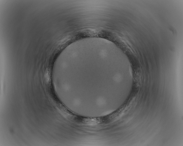 X0000110990131200907101438