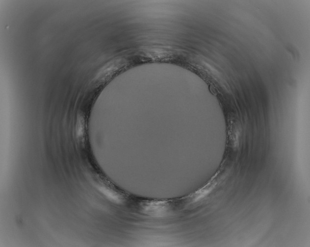 X0000110990132200907101438