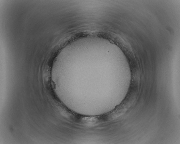 X0000110990133200907101438