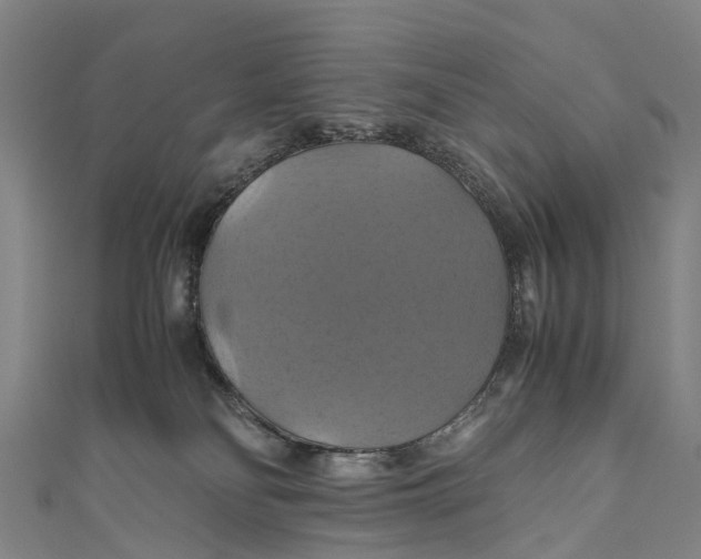 X0000110990134200907101438