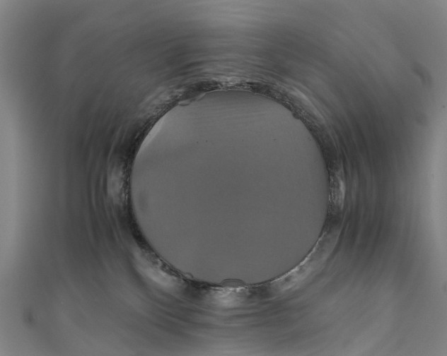 X0000110990136200907101438