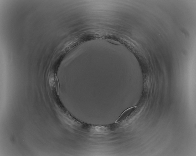 X0000110990137200907101438