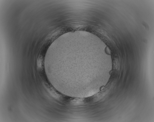 X0000110990138200907101438