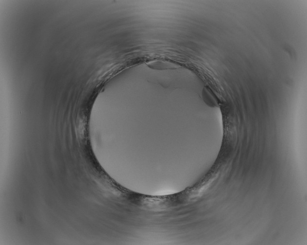 X0000110990139200907101438