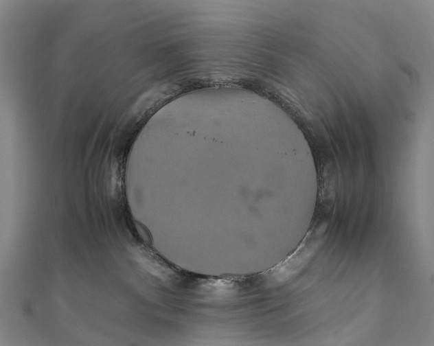 X0000110990140200907101438