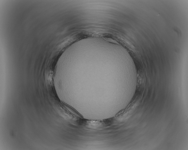 X0000110990141200907101438