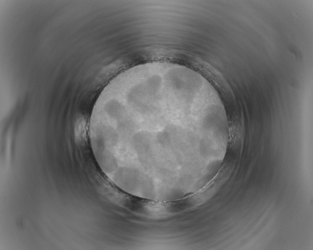 X0000110990142200907101438