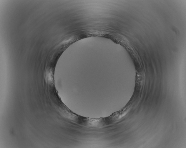 X0000110990143200907101438