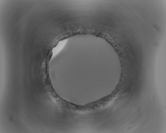 X0000110990144200907101438