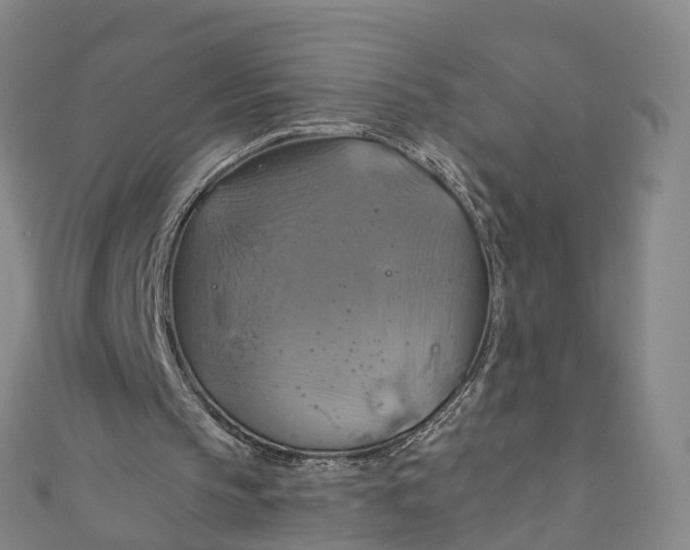 X0000110990145200907101438