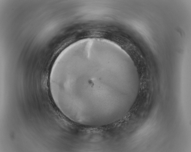 X0000110990146200907101438