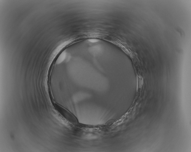 X0000110990147200907101438
