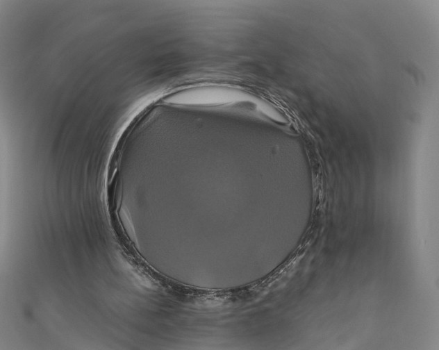 X0000110990148200907101438