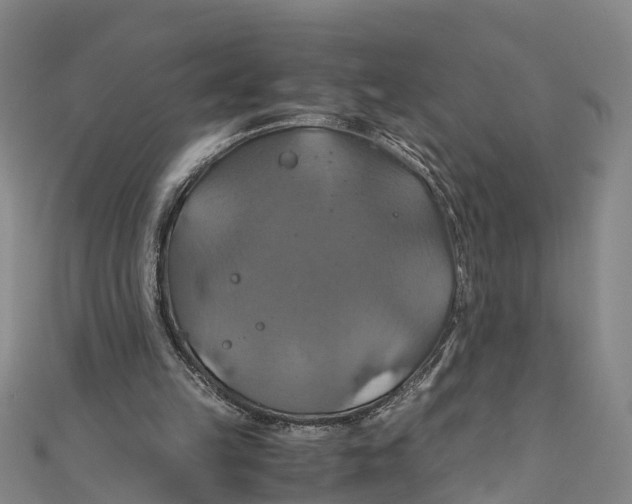 X0000110990149200907101438